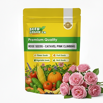 Rose Seeds - Catavel Pink Climbing