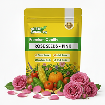 Rose Seeds - Pink