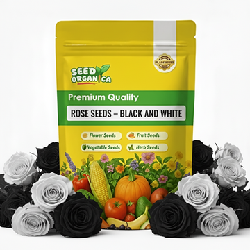 Rose Seeds –  Black and White