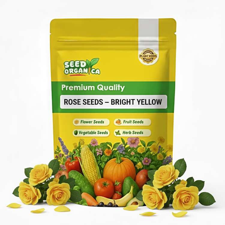Rose Seeds –  Bright Yellow