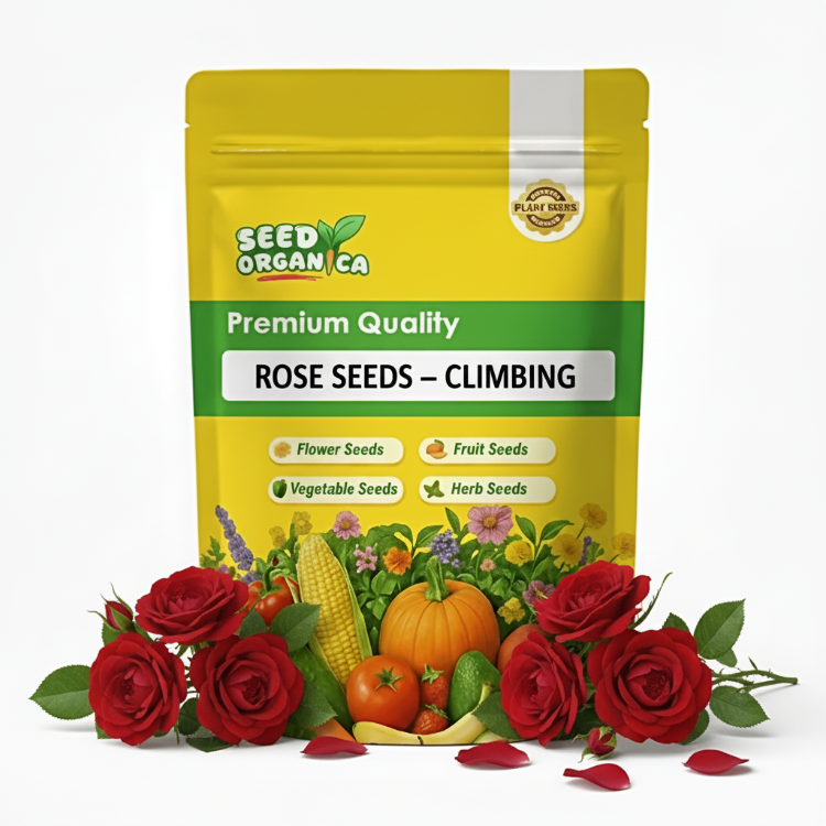 Rose Seeds – Climbing