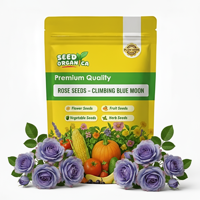 Rose Seeds – Climbing Blue Moon
