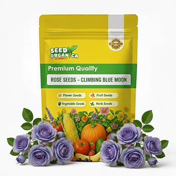Rose Seeds – Climbing Blue Moon