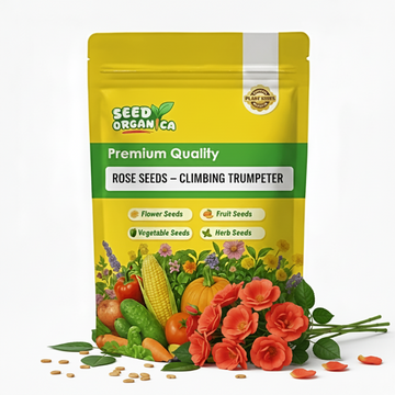 Rose Seeds – Climbing Trumpeter