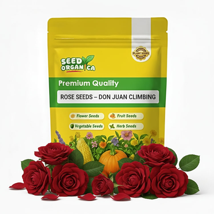 Rose Seeds – Don Juan Climbing