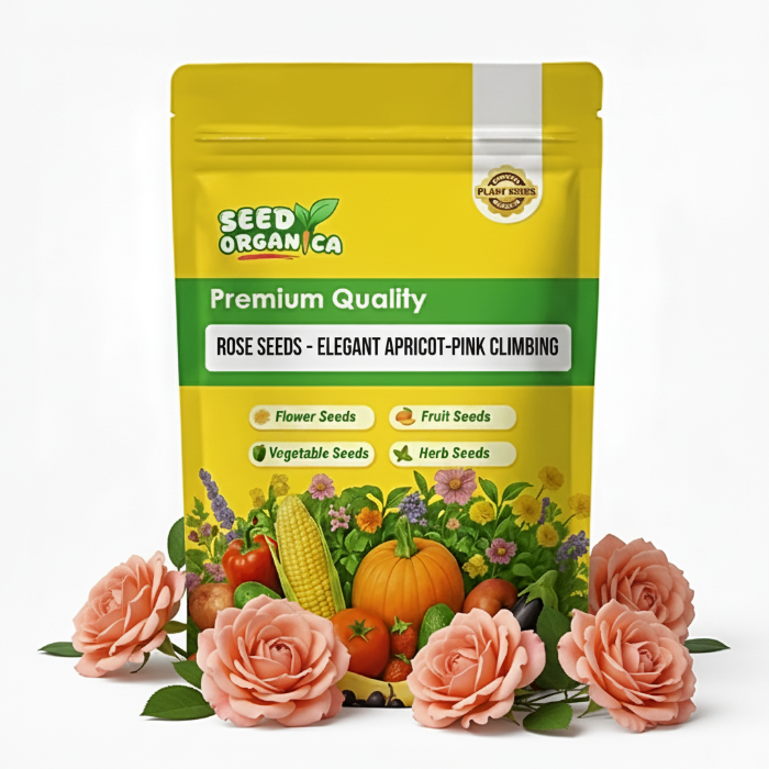 Rose Seeds – Elegant Apricot-Pink Climbing