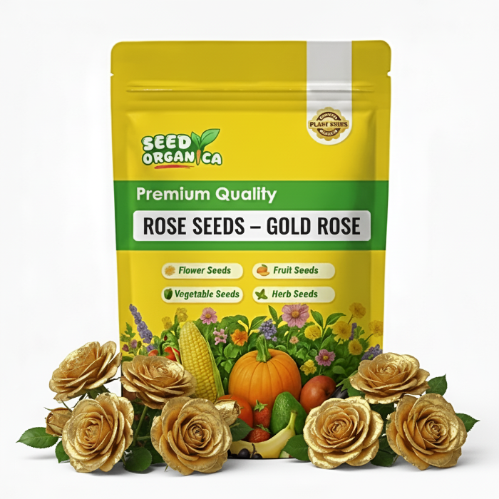 Rose Seeds – Gold Rose
