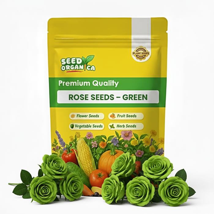 Rose  Seeds – Green