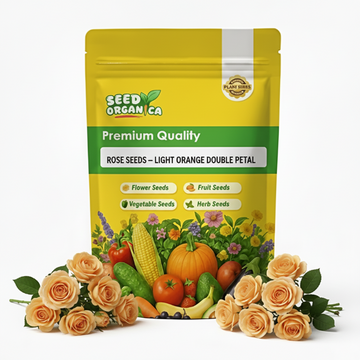 Rose Seeds – Light Orange Double Petal