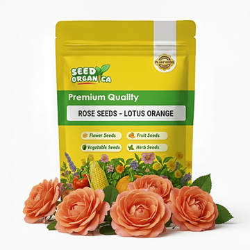 Rose Seeds – Lotus Orange