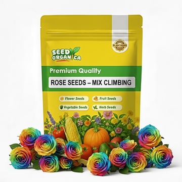 Rose Seeds – Mix Climbing