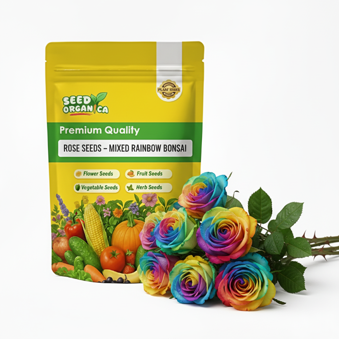 Rose Seeds – Mixed Rainbow Bonsai