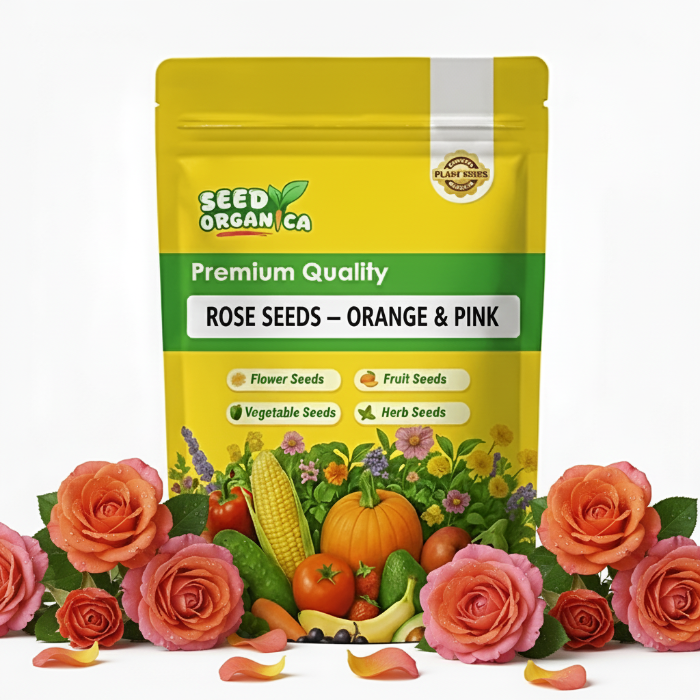 Rose Seeds –  Orange & Pink