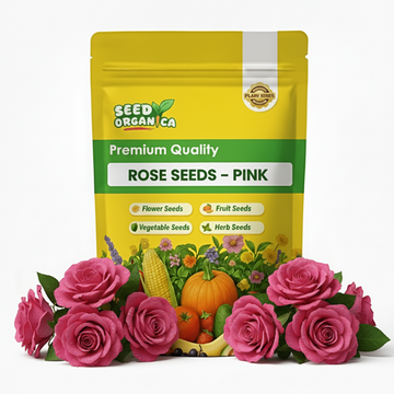 Rose Seeds – Pink