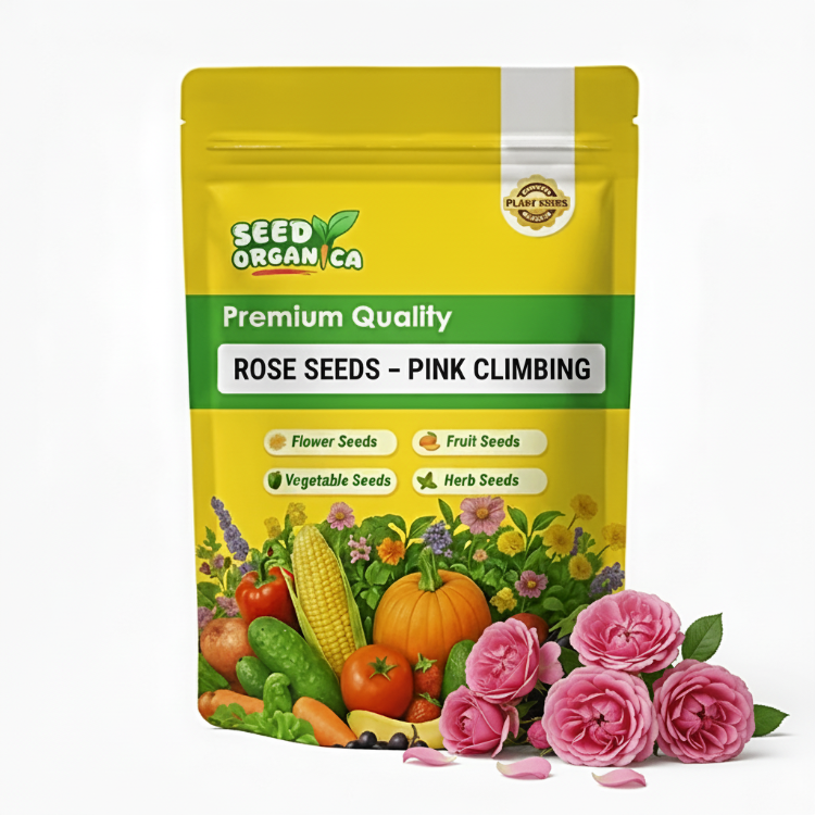 Rose Seeds – Pink Climbing