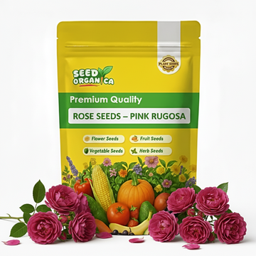 Rose Seeds – Pink Rugosa