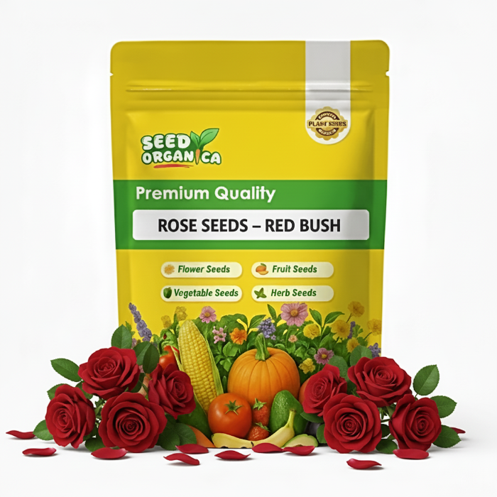 Rose Seeds – Red Bush