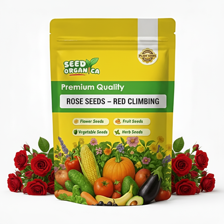 Rose Seeds – Red Climbing