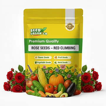Rose Seeds – Red Climbing