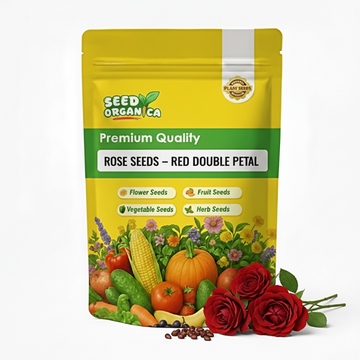 Rose Seeds – Red Double Petal