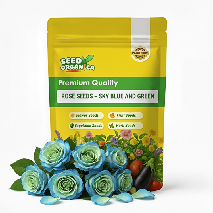Rose Seeds – Sky Blue and Green