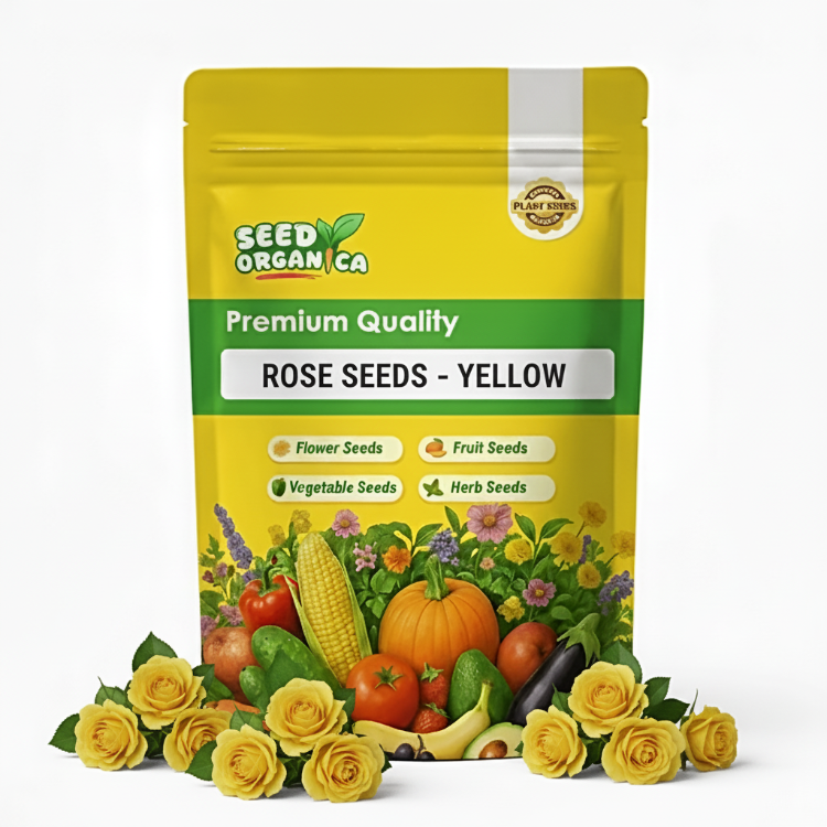 Rose Seeds – Yellow