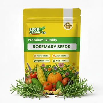 Rosemary Seeds