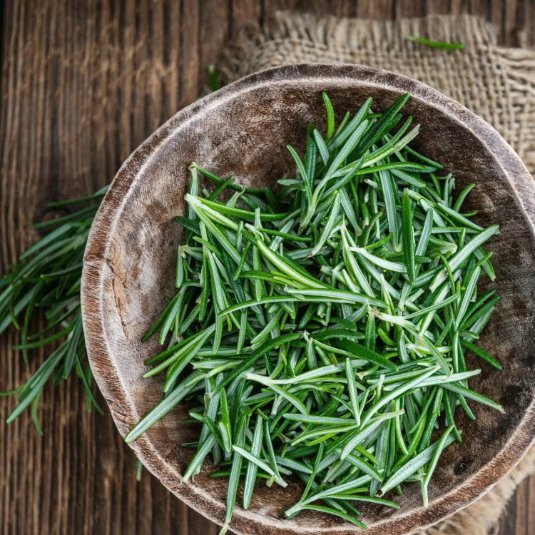 Rosemary Seeds