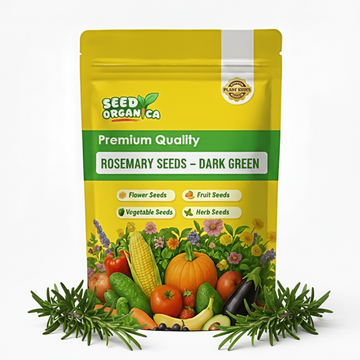 Rosemary Seeds – Dark Green
