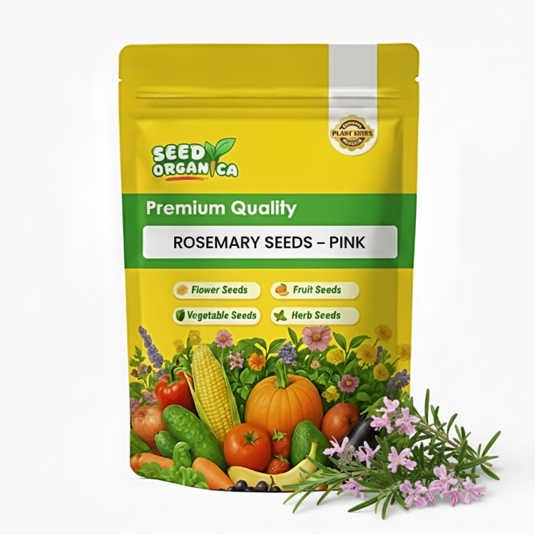 Rosemary Seeds – Pink