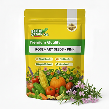 Rosemary Seeds – Pink