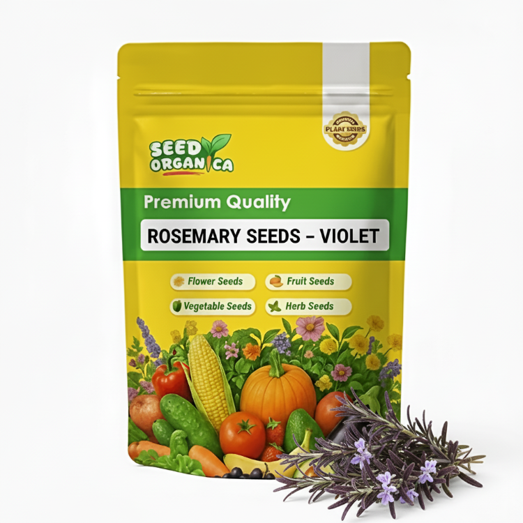 Rosemary Seeds – Violet