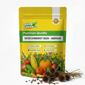 Roter Sonnenhut Seeds – American