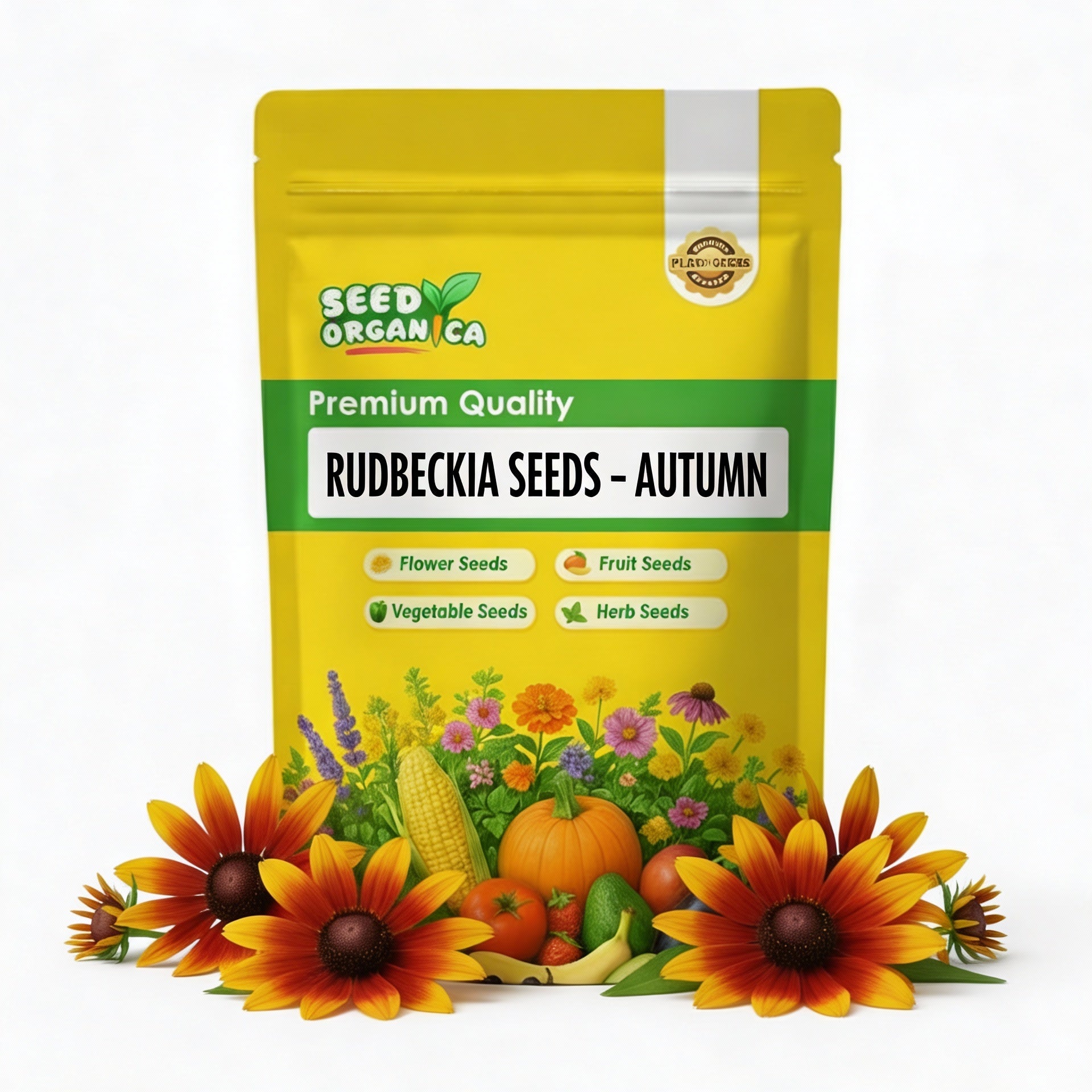 Rudbeckia Seeds – Autumn