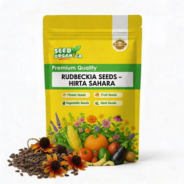 Rudbeckia Seeds – Hirta Sahara