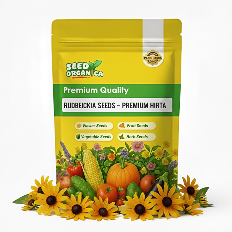 Rudbeckia Seeds – Premium Hirta