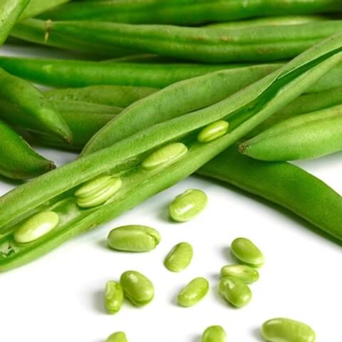 Runner Bean Seeds - Green