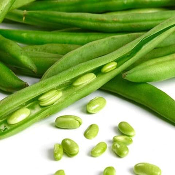Runner Bean Seeds - Green