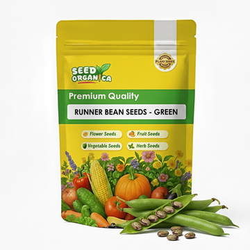 Runner Bean Seeds - Green