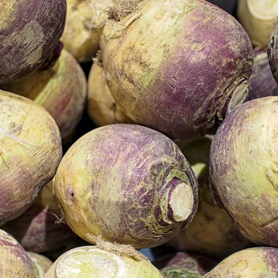 Rutabaga Seeds – Brown Purple