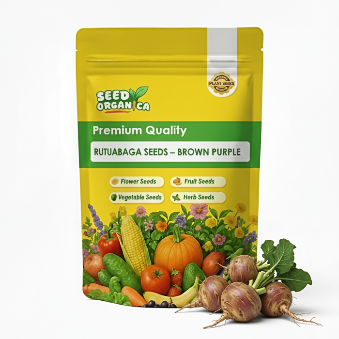 Rutabaga Seeds – Brown Purple