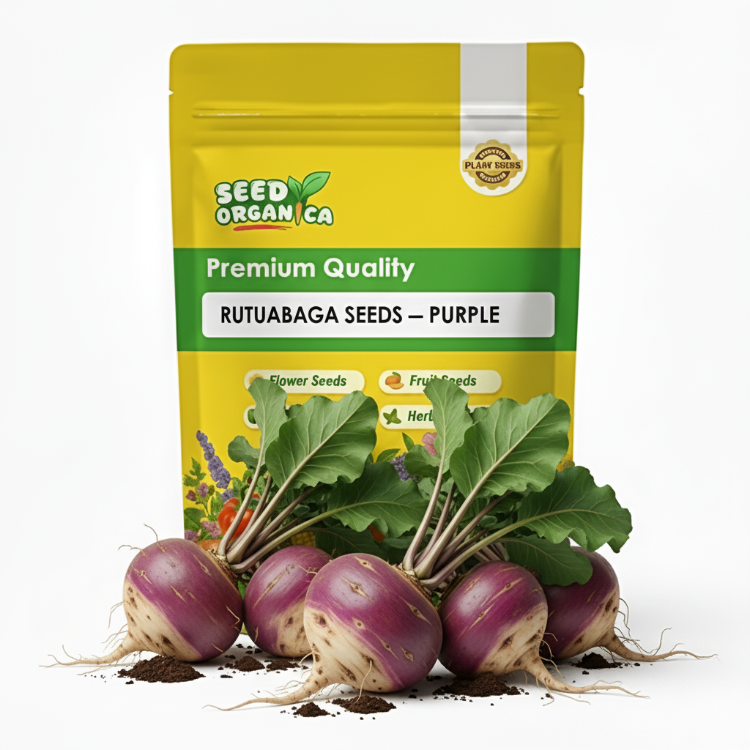 Rutabaga Seeds – Purple