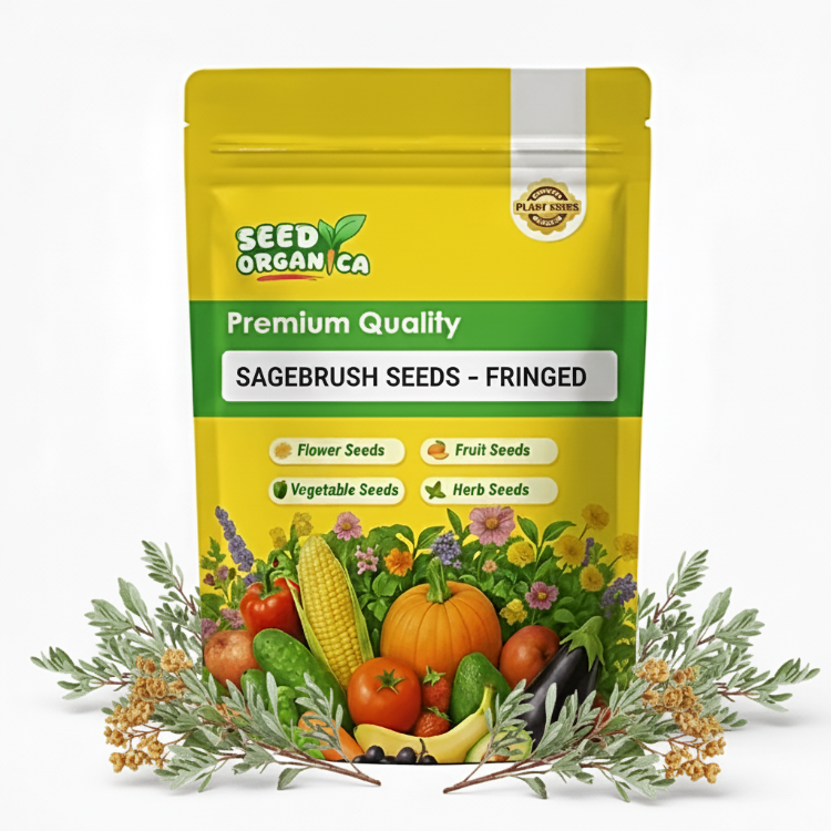 Sagebrush Seeds – Fringed