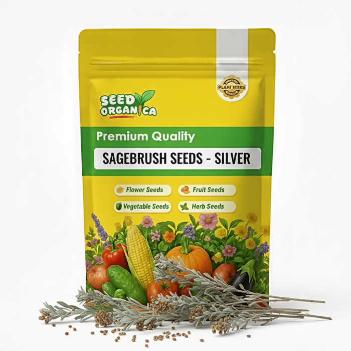 Sagebrush Seeds – Silver