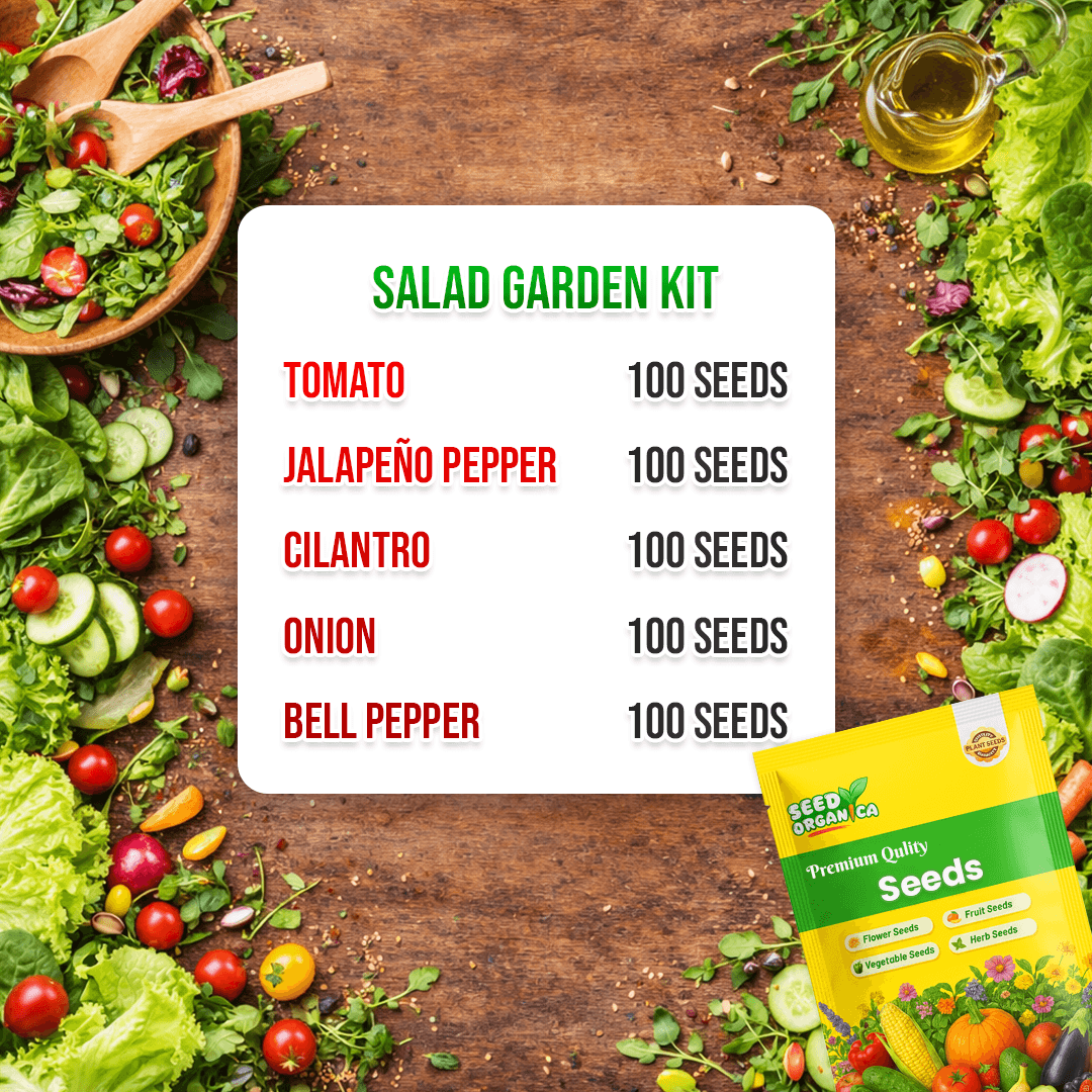 Salad Garden Kit