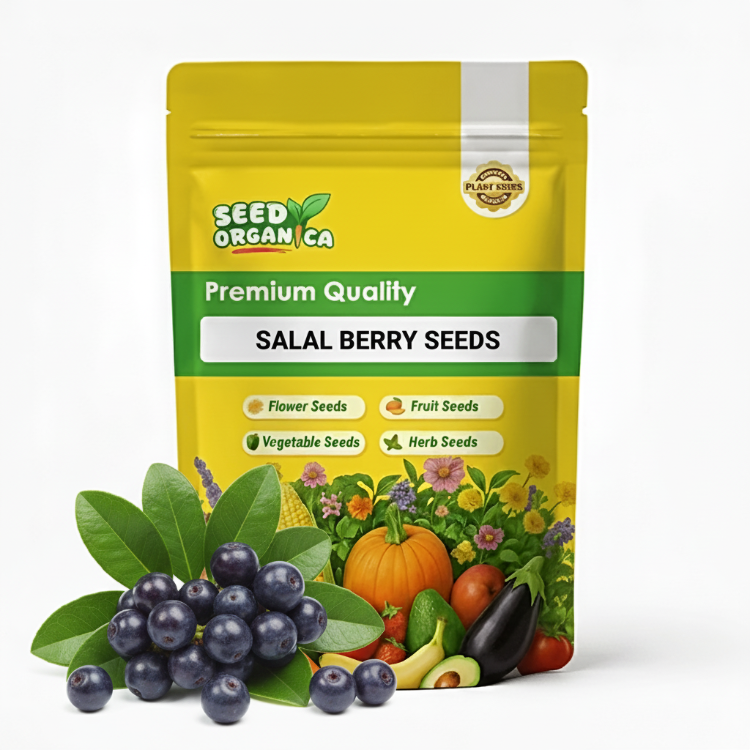 Salal Berry Seeds