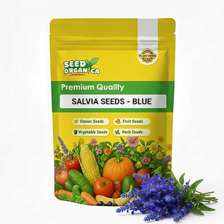 Salvia Seeds – Blue