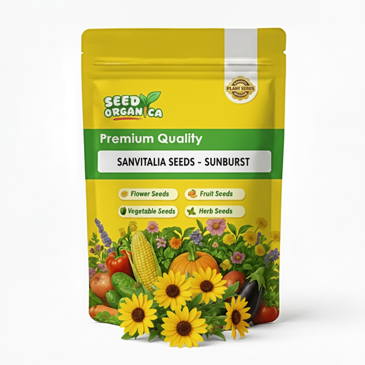 Sanvitalia Seeds - Sunburst