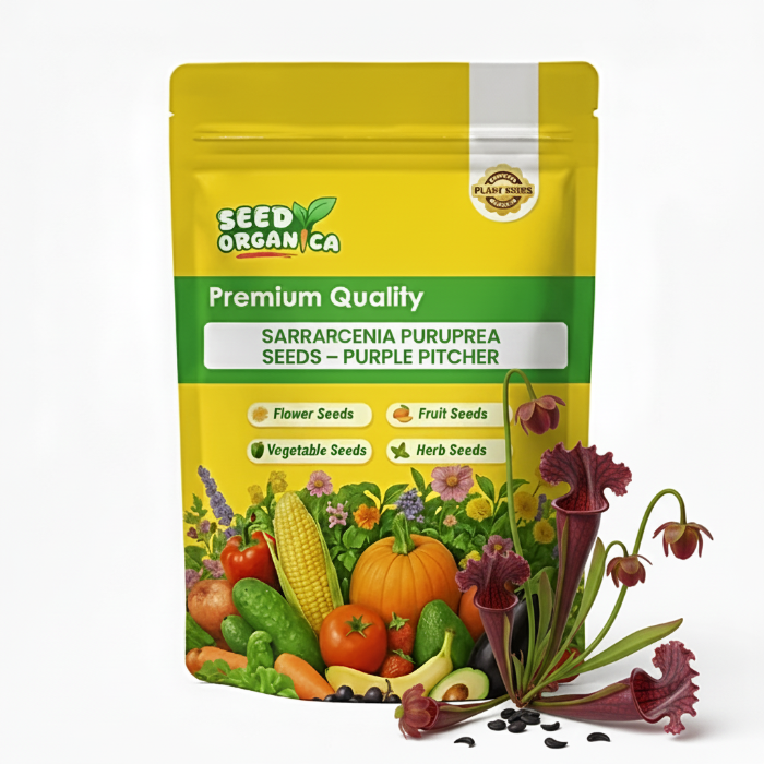 Sarracenia Purpurea Seeds – Purple Pitcher