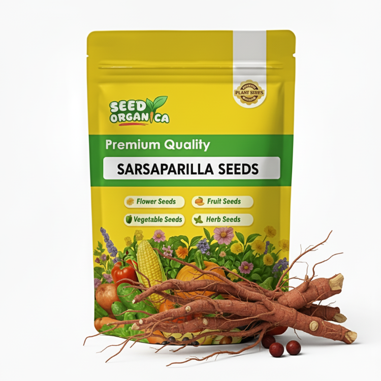 Sarsaparilla Seeds